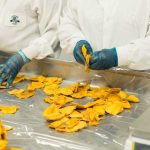 飲食料品製造業の特定技能外国人を受け入れ後に入会が必要な特定技能協議会とは?